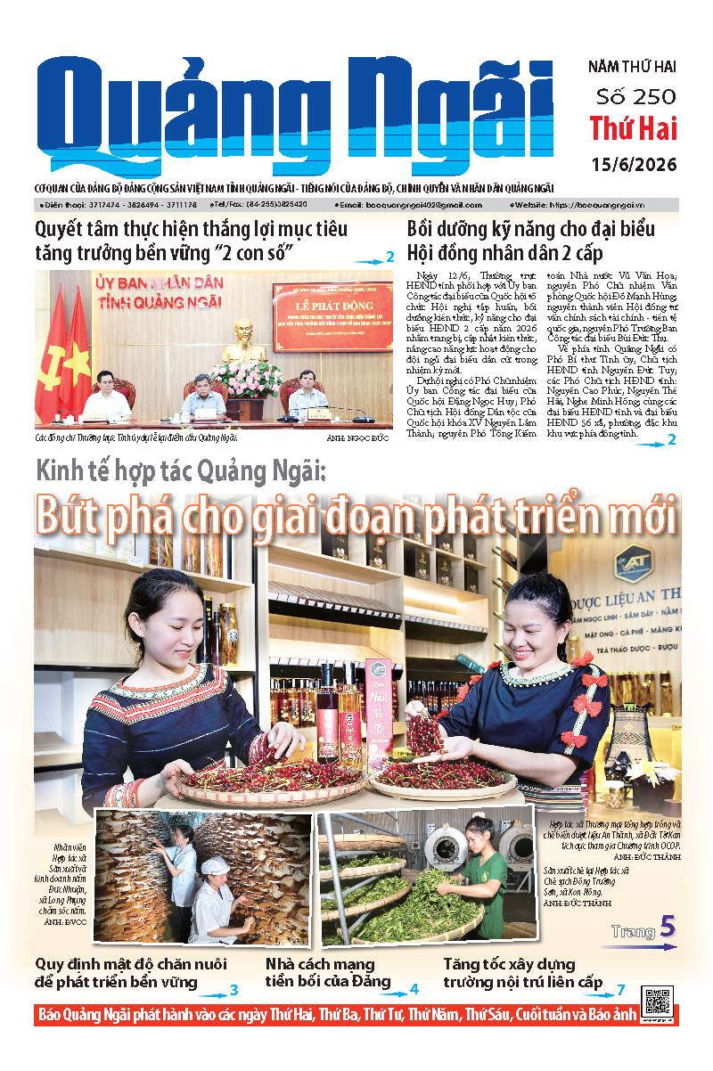 Số báo 250 ngày 15/6/2026