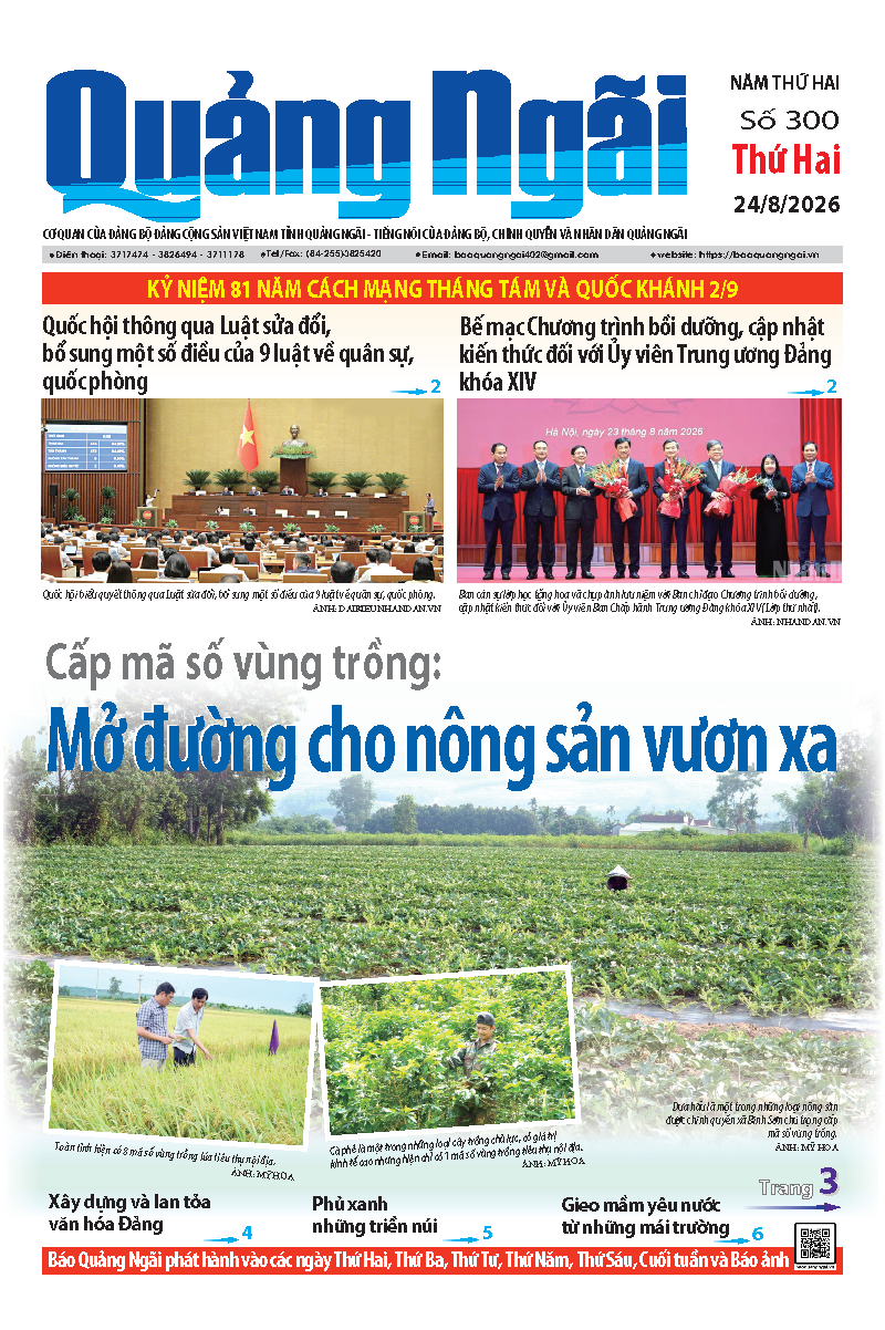 Số b&aacute;o 300 ng&agrave;y 24/8/2026