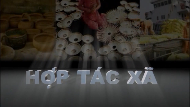 PH&Aacute;T TRIỂN C&Aacute;C HỢP T&Aacute;C X&Atilde; 22-12-2019