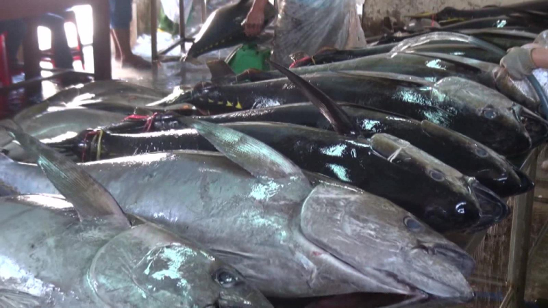 Hơn 200 mặt hàng thuỷ sản sẽ hưởng thuế suất bằng 0