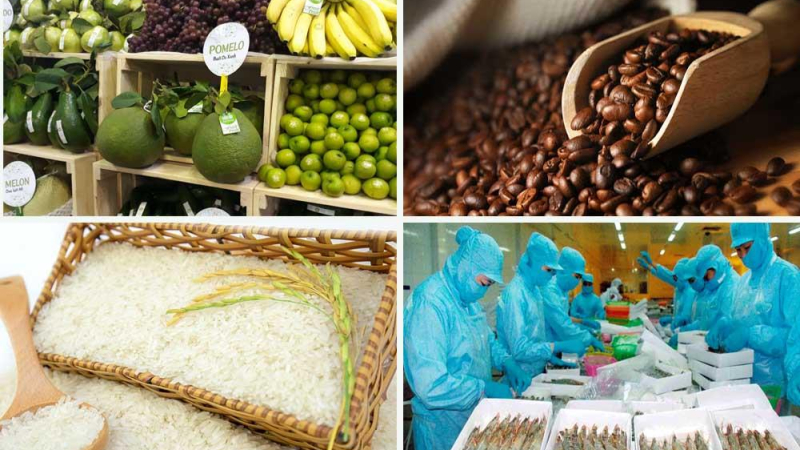 Xuất khẩu gạo, rau quả v&agrave;o EU tăng vọt