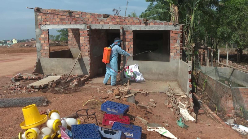 Khoanh vùng dập ổ dịch cúm A/H5N6