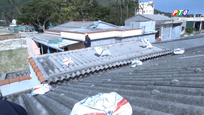 Lý Sơn phòng chống bão số 9