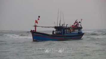 Một t&agrave;u c&aacute; mắc cạn tại v&ugrave;ng biển L&yacute; Sơn, Quảng Ng&atilde;i khi v&agrave;o tr&aacute;nh tr&uacute; b&atilde;o số 8