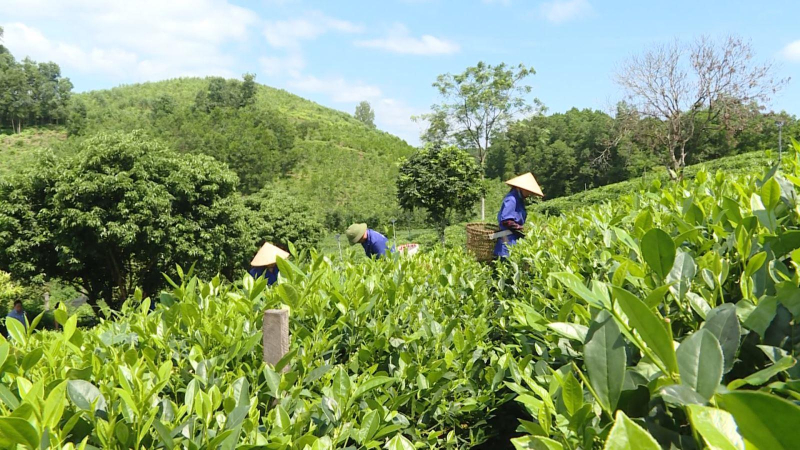 N&acirc;ng cao nhận thức về sử dụng thuốc bảo vệ thực vật
