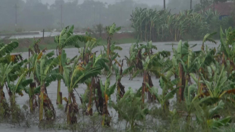 Mưa lớn trên diện rộng