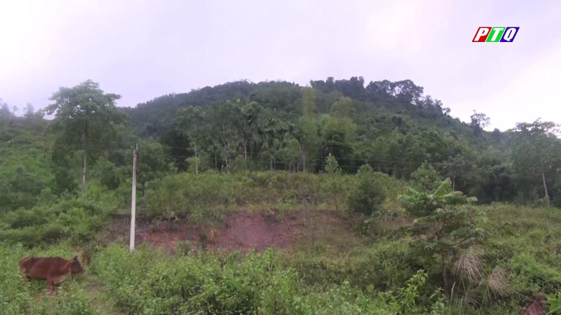 Ba Tơ khẩn cấp di dời dân ra khỏi vùng lở núi