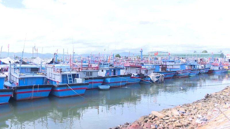Ngư dân đưa tàu vào vũng neo đậu trú tránh áp thấp nhiệt đới