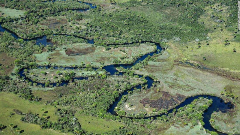 Hệ sinh thái rừng Amazon bị đe dọa nghiêm trọng