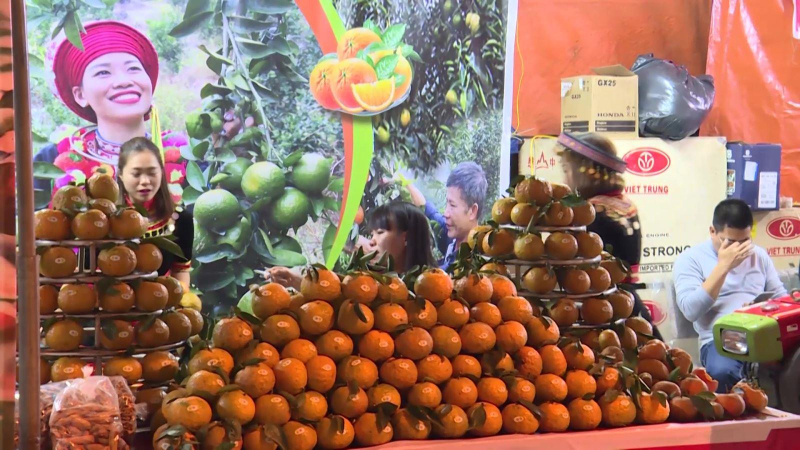 Cam sành Hàm Yên được cấp chứng nhận chỉ dẫn địa lý