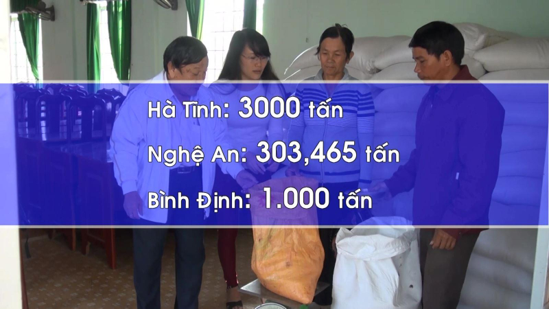 Xuất cấp gạo dự trữ cho 3 tỉnh bị thiên tai