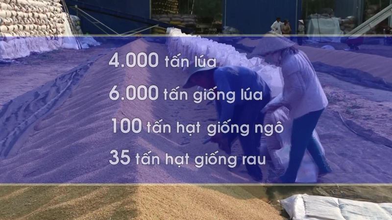 Tăng dự trữ quốc gia hỗ trợ nông dân vùng lũ