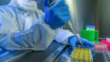 Phát hiện virus lạ gây chết người ở Bolivia