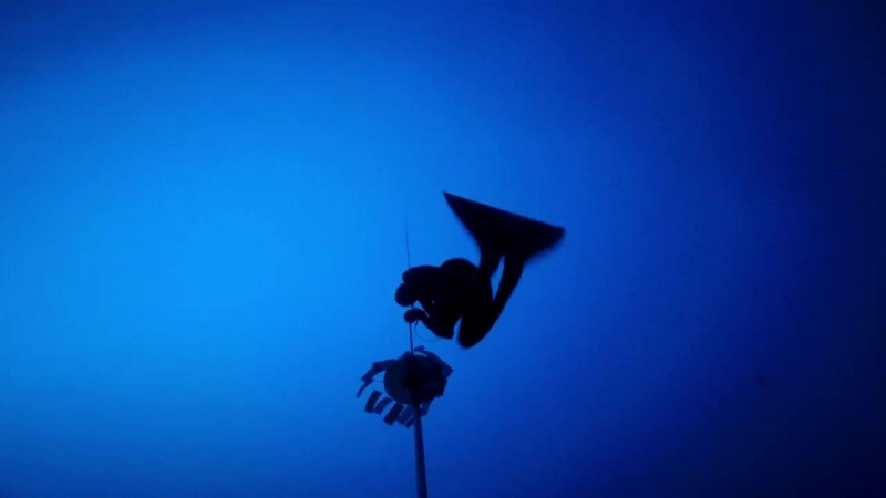 Kỷ lục thế giới mới về lặn tự do