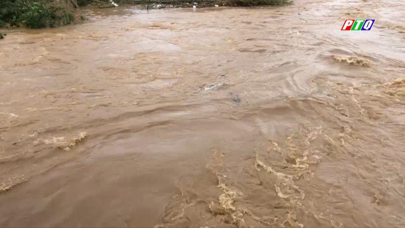 Tin lũ trên các sông trong tỉnh Quảng Ngãi (Khẩn cấp trên sông Trà Câu, sông Vệ)