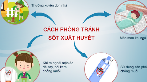 Phòng chống bệnh sốt xuất huyết