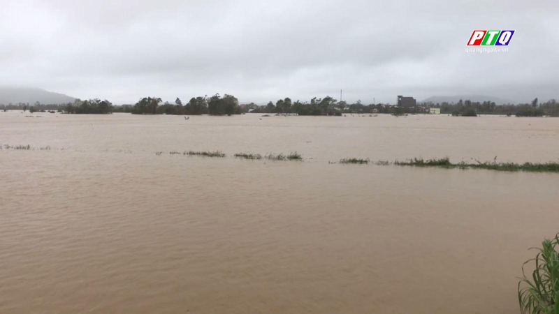 Lũ khẩn cấp trên sông Vệ và sông Trà Câu