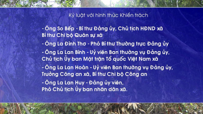 Phú Yên kỷ luật nhiều cán bộ, đảng viên liên quan vụ phá rừng