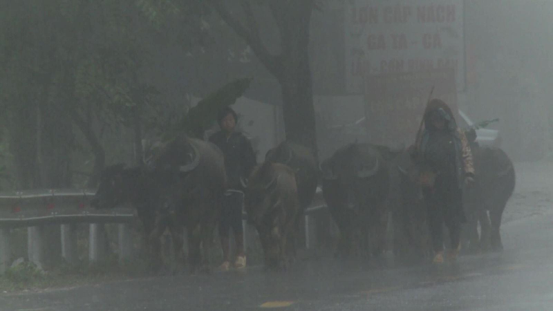 Bắt đầu đợt rét đậm rét hại kỷ lục