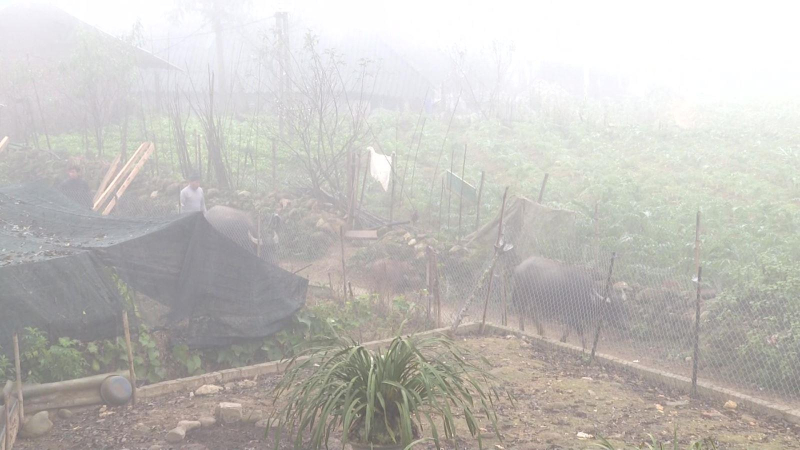 Lưu ý biện pháp phòng tránh mưa rét