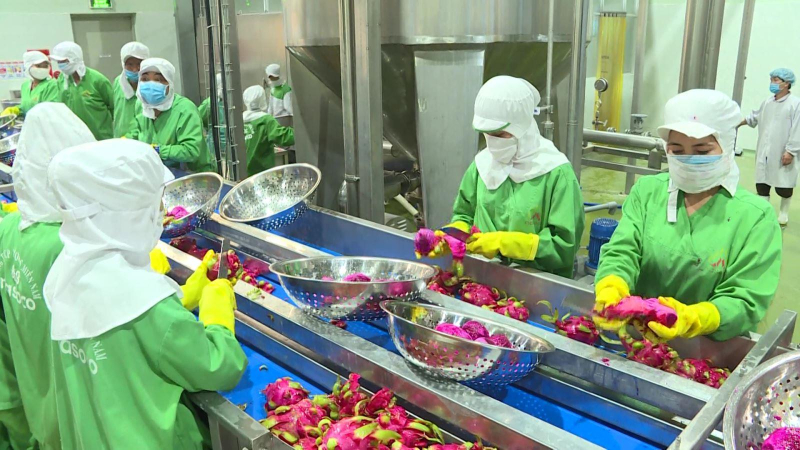 Kim ngạch xuất khẩu n&ocirc;ng, l&acirc;m, thủy sản đạt 37,4 tỷ USD