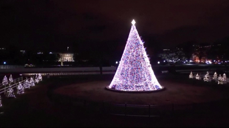 “Lên đèn” cây thông quốc gia tại Mỹ