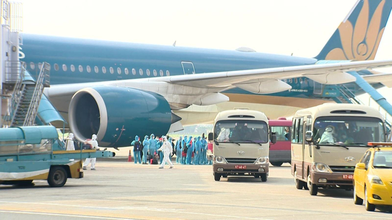 Tạm đình chỉ công tác trưởng đoàn tiếp viên Vietnam Airlines