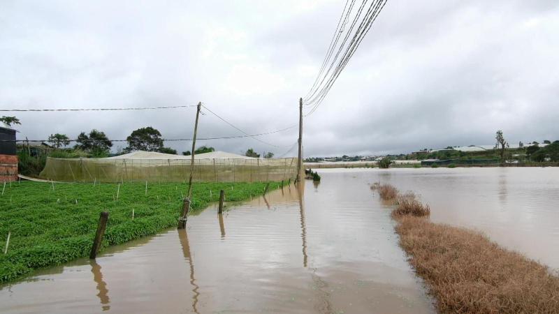 Thuỷ điện xả lũ g&acirc;y ngập rau m&agrave;u tại L&acirc;m Đồng