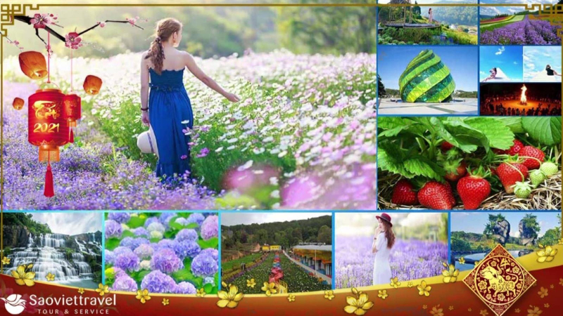 Tour Tết âm lịch dần sôi động trở lại