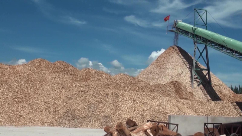 Doanh nghiệp Mỹ kêu gọi không áp thuế quan lên hàng Việt