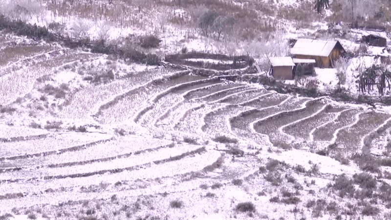 Băng tuyết gây nhiều thiệt hại
