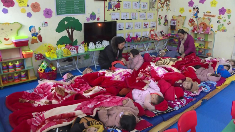 Ứng phó rét đậm, rét hại