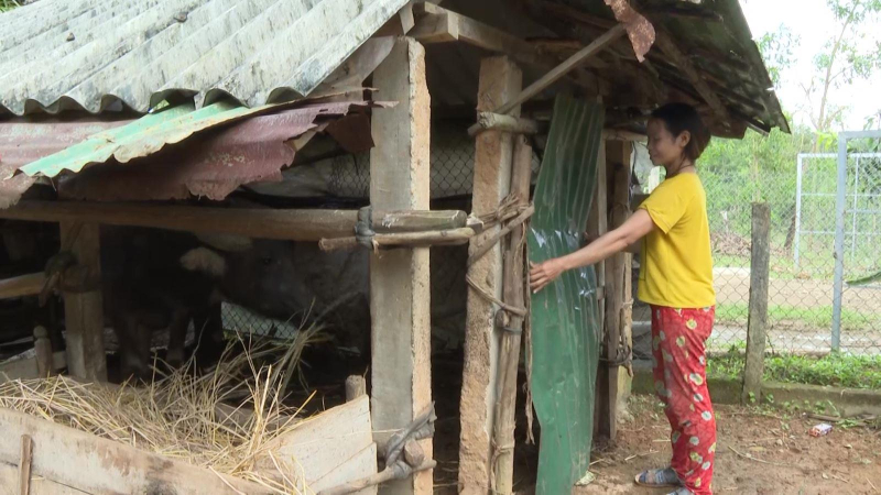 Chăm s&oacute;c Tr&acirc;u khi trời trở lạnh