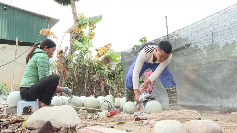 Rủi ro v&agrave; hệ lụy từ xuất cảnh tr&aacute;i ph&eacute;p