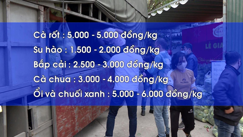 Hải Dương công bố giá nông sản giải cứu