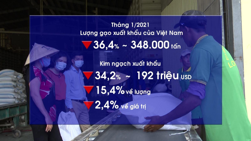 Giá xuất khẩu gạo duy trì ở mức cao