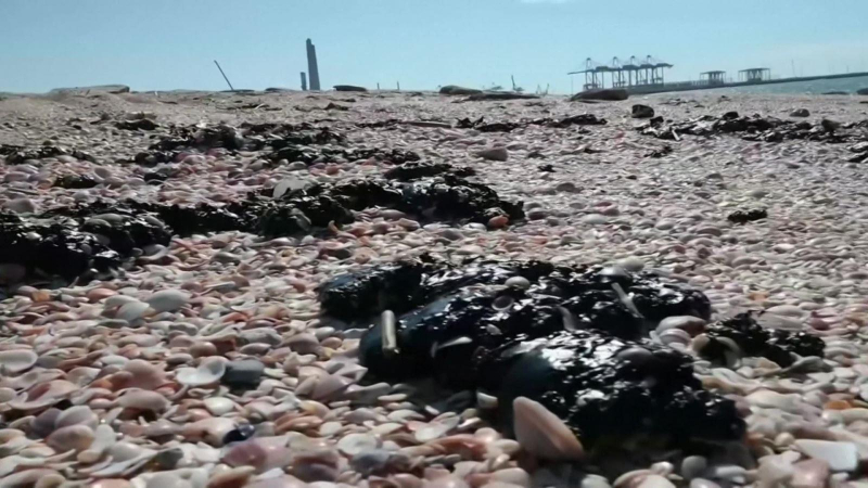 Ô nhiễm môi trường nghiêm trọng ở Israel