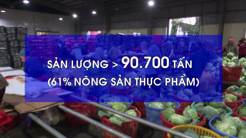 Hỗ trợ tiêu thụ nông sản vùng dịch