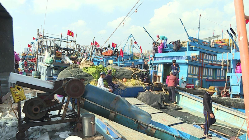 Ngư dân vươn khơi ngày đầu năm