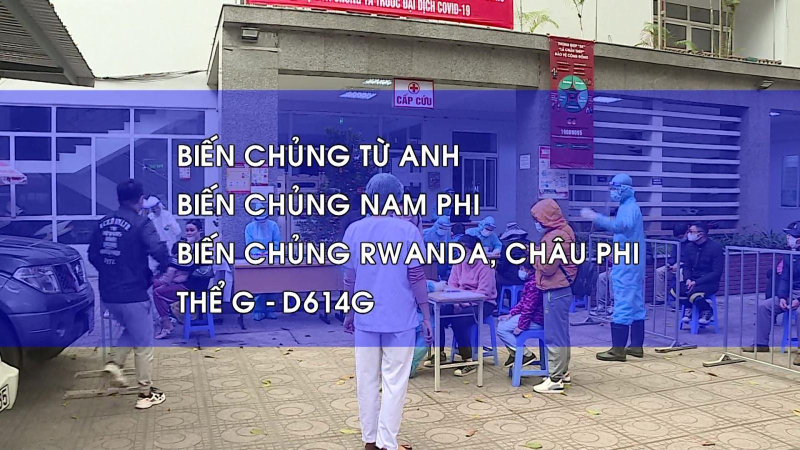 Bốn biến chủng nCoV đã xuất hiện ở Việt Nam