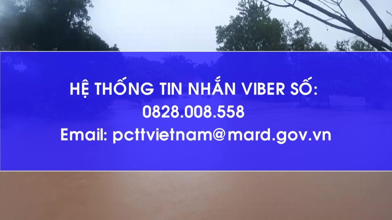 Công bố đường dây nóng phòng, chống thiên tai dịp Tết