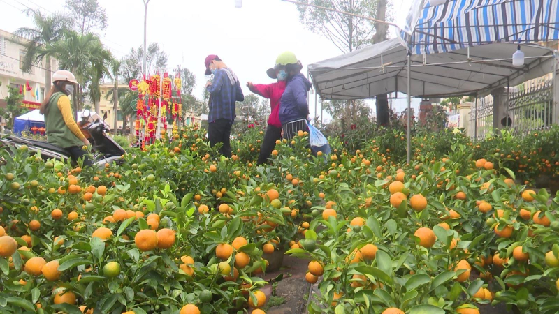 Đ&igrave;u hiu chợ hoa Xu&acirc;n Quảng Ng&atilde;i