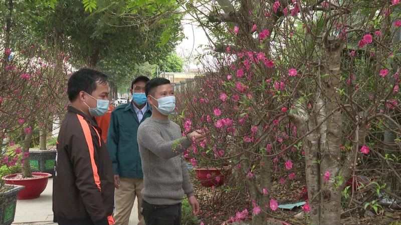 Đ&igrave;u hiu thị trường hoa, c&acirc;y cảnh ng&agrave;y Tết ở Bắc Ninh