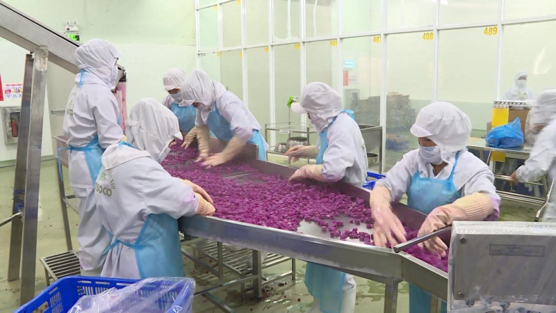 Xuất khẩu nông sản tăng mạnh, vượt 10 tỷ USD