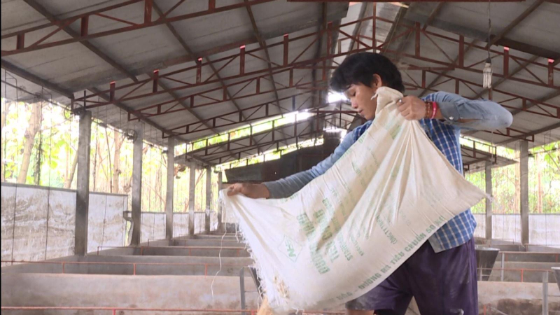 Giá thức ăn chăn nuôi tăng mạnh