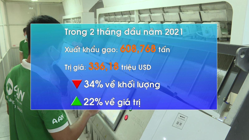 Xuất khẩu gạo bật tăng