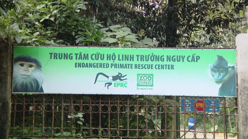 Lặng thầm bảo tồn động vật hoang d&atilde;