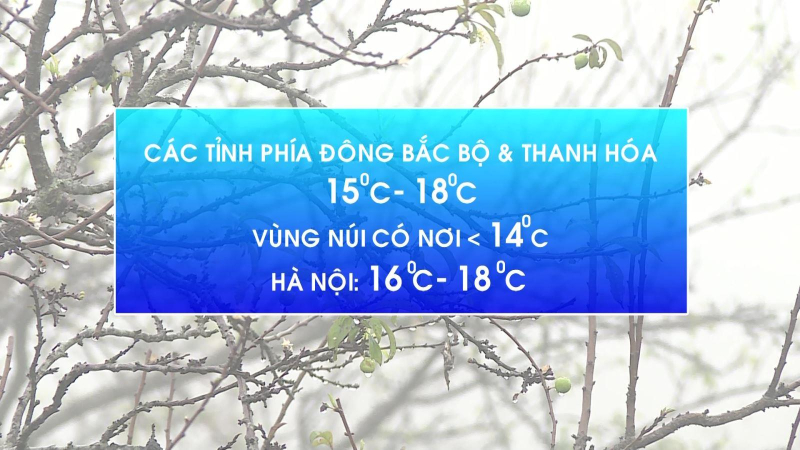 Miền Bắc chuyển rét, nồm ẩm kéo dài