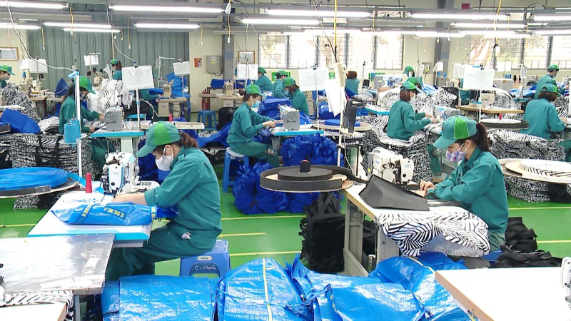 Xuất khẩu hàng hóa nhiều khởi sắc