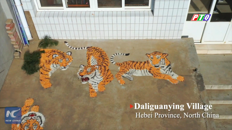 Ấn tượng bức tranh từ ngô và đậu